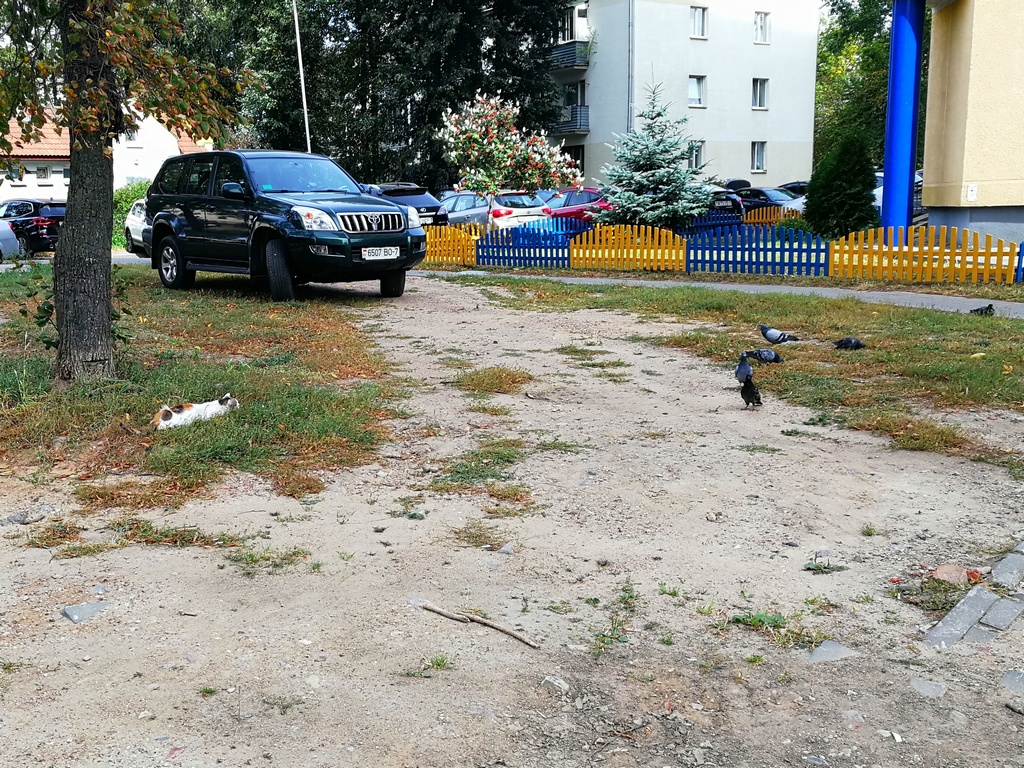 Минская охота Минская охота